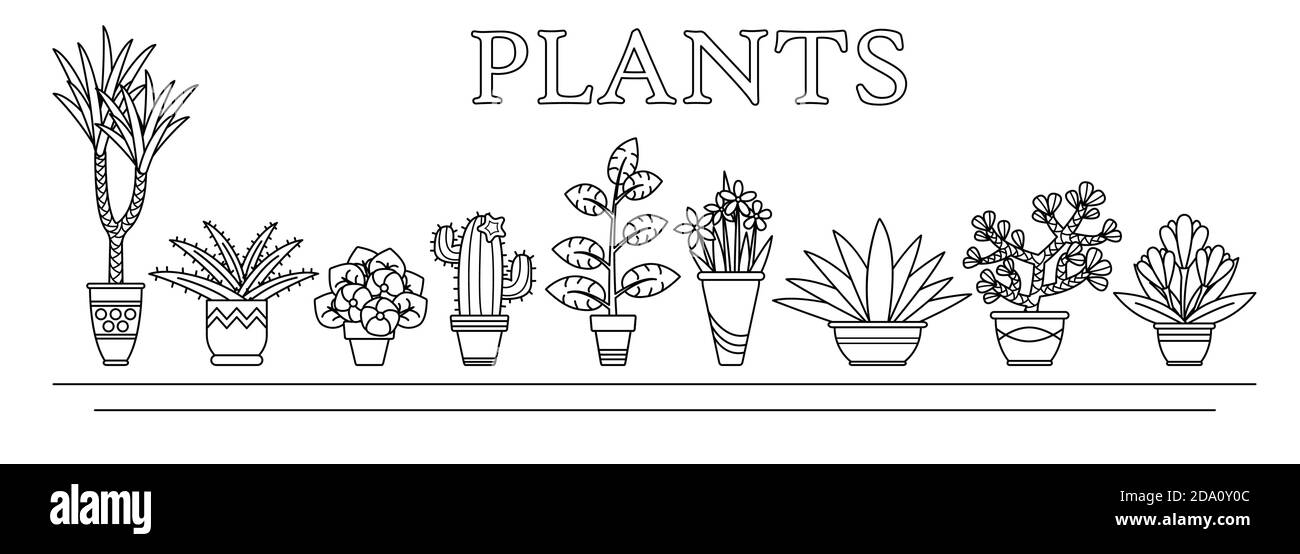 Illustration vectorielle fleurs et plantes, succulentes dans des vases en style ligne. Illustration de Vecteur