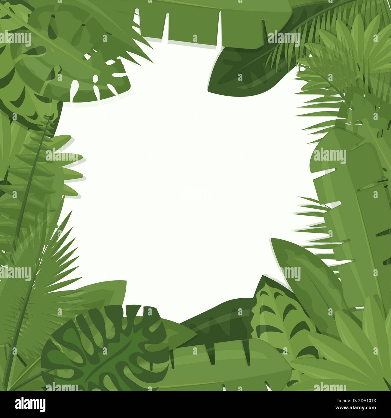 Illustration vectorielle de feuilles de palmier vert tropical, feuilles de jungle, philodendron encadrant un fond blanc dans le style de dessin animé plat. Illustration de Vecteur