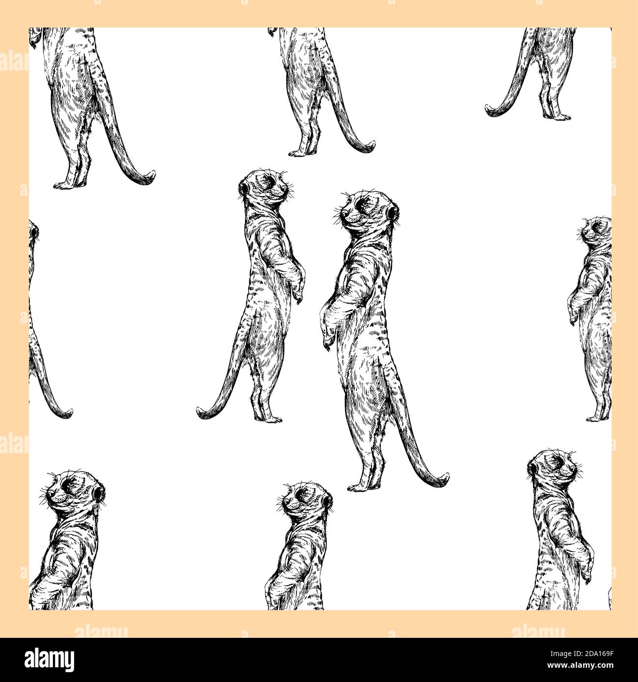 Motif sans couture de meerkats de style esquisse dessinés à la main isolés sur fond blanc. Illustration vectorielle. Illustration de Vecteur
