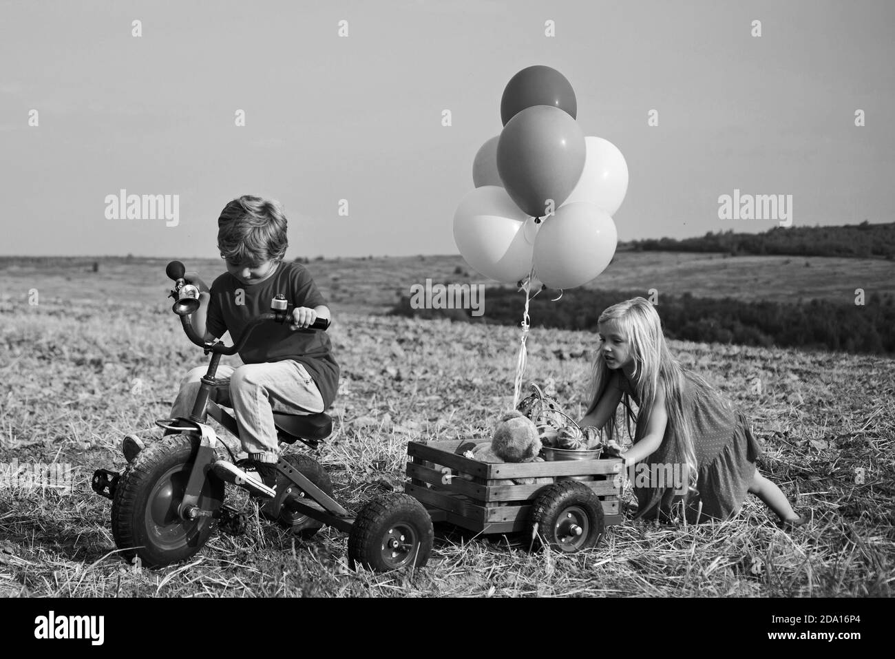 Deux enfants s'amusent sur le terrain sur fond bleu ciel. Activités écologiques. Concept d'agriculteur pour enfants. Deux petits enfants dans une ferme de campagne. Banque D'Images