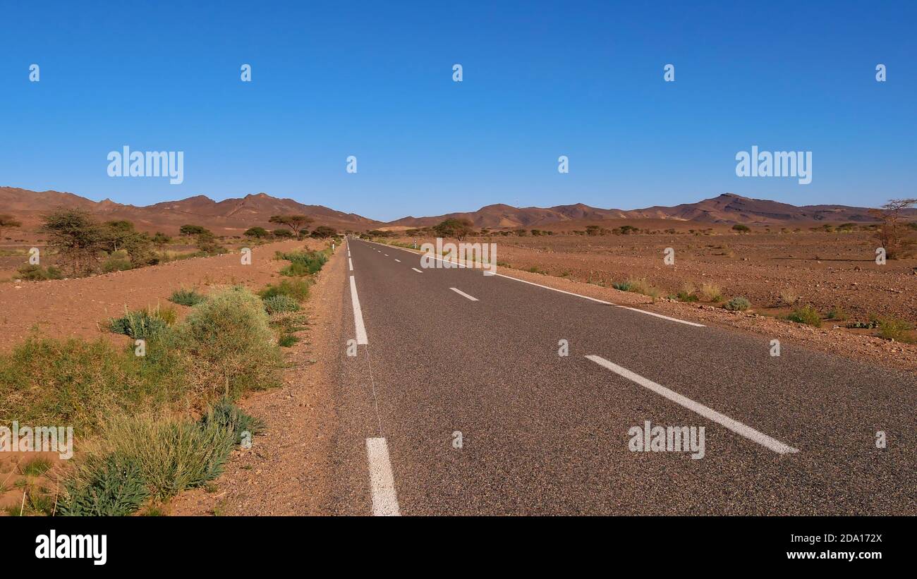 Route de campagne pavée solitaire menant à travers le paysage désertique stérile dans le sud du Maroc, l'Afrique avec la végétation clairsemée (buissons et arbres) et les montagnes. Banque D'Images