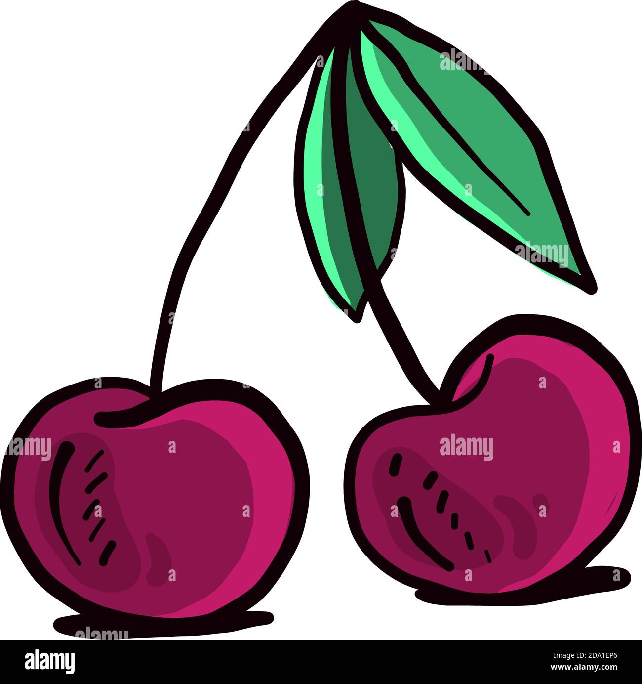 Cerise rose, illustration, vecteur sur fond blanc Illustration de Vecteur