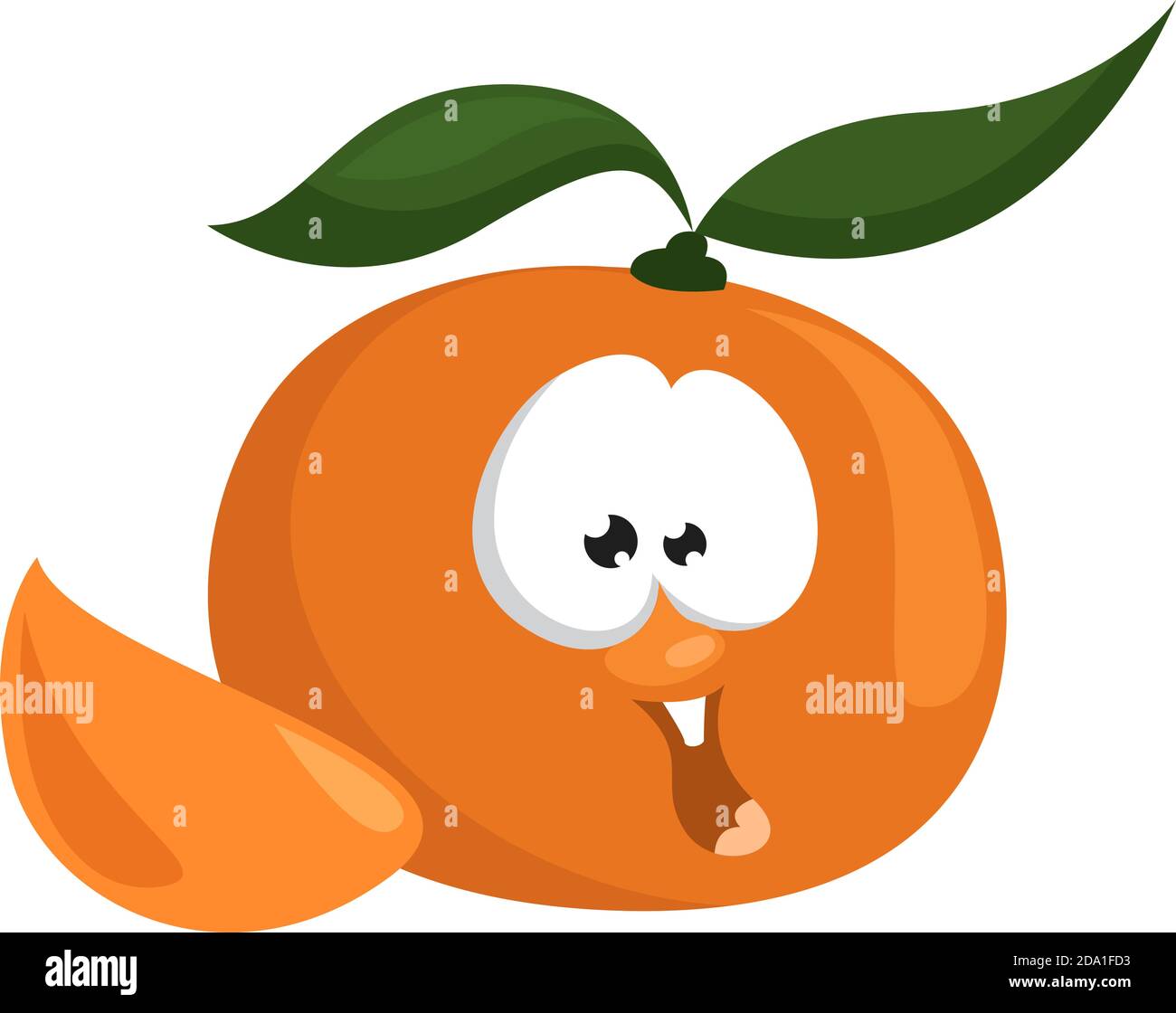 Gaie mandarine, illustration, vecteur sur fond blanc Illustration de Vecteur