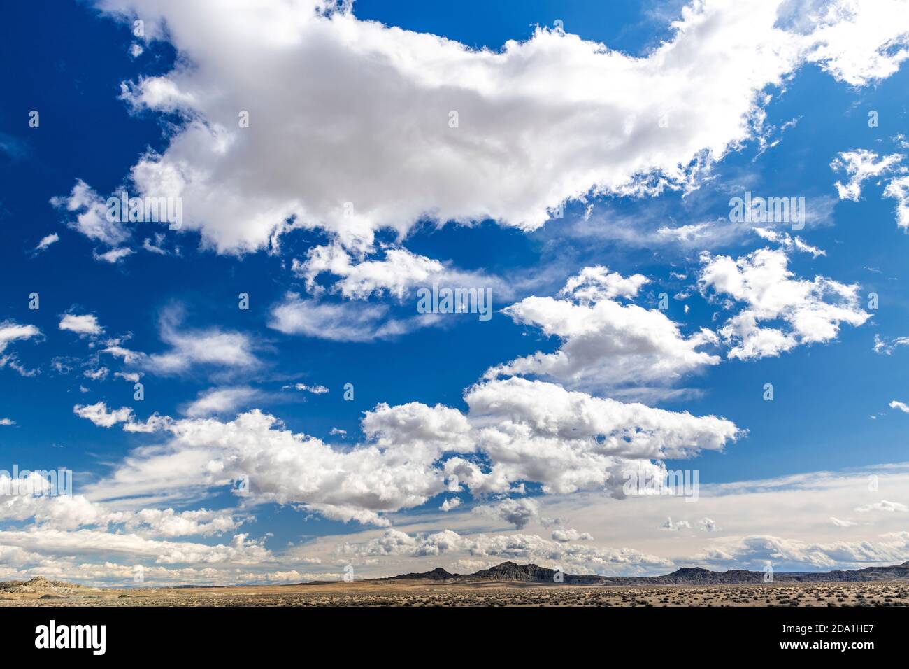 Cumulus nuages au-dessus des grandes Plaines, à l'est de l'aire de répartition frontale des montagnes Rocheuses, WY, USA, par Dominique Braud/Dembinsky photo Assoc Banque D'Images