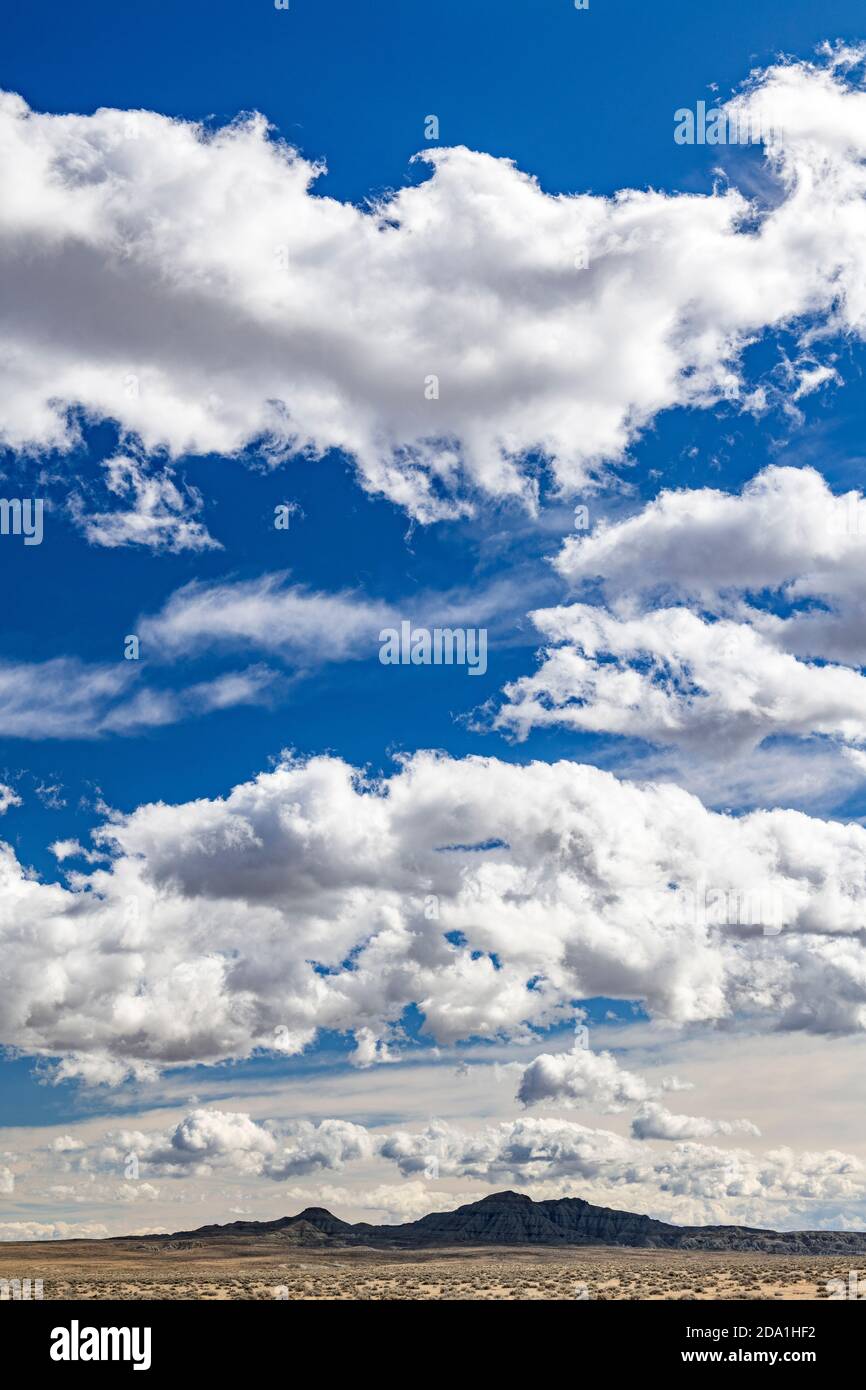 Cumulus nuages au-dessus des grandes Plaines, à l'est de l'aire de répartition frontale des montagnes Rocheuses, WY, USA, par Dominique Braud/Dembinsky photo Assoc Banque D'Images
