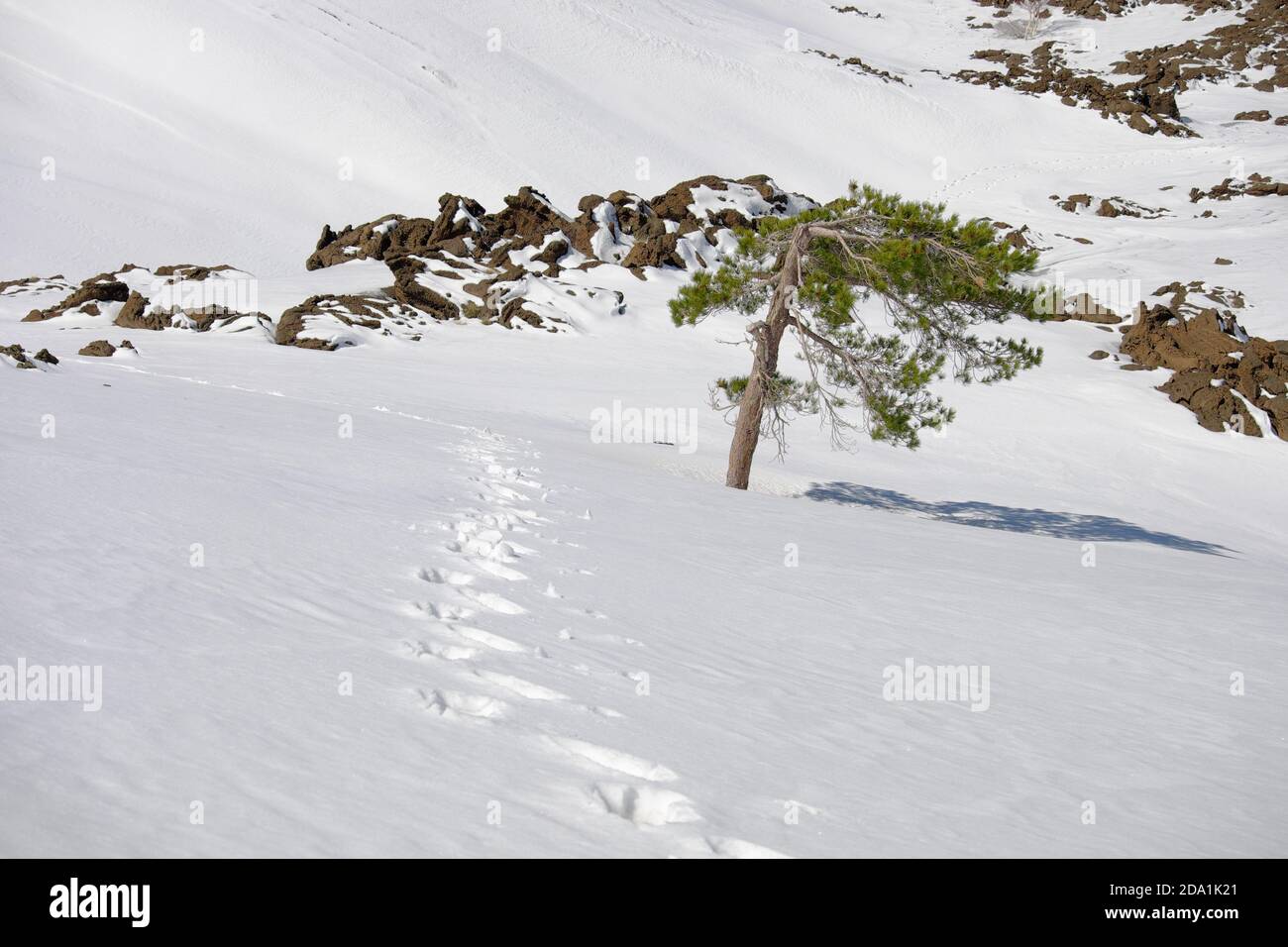 Traces de randonneur avec des empreintes de raquettes sur la neige en hiver Etna Park, Sicile Banque D'Images