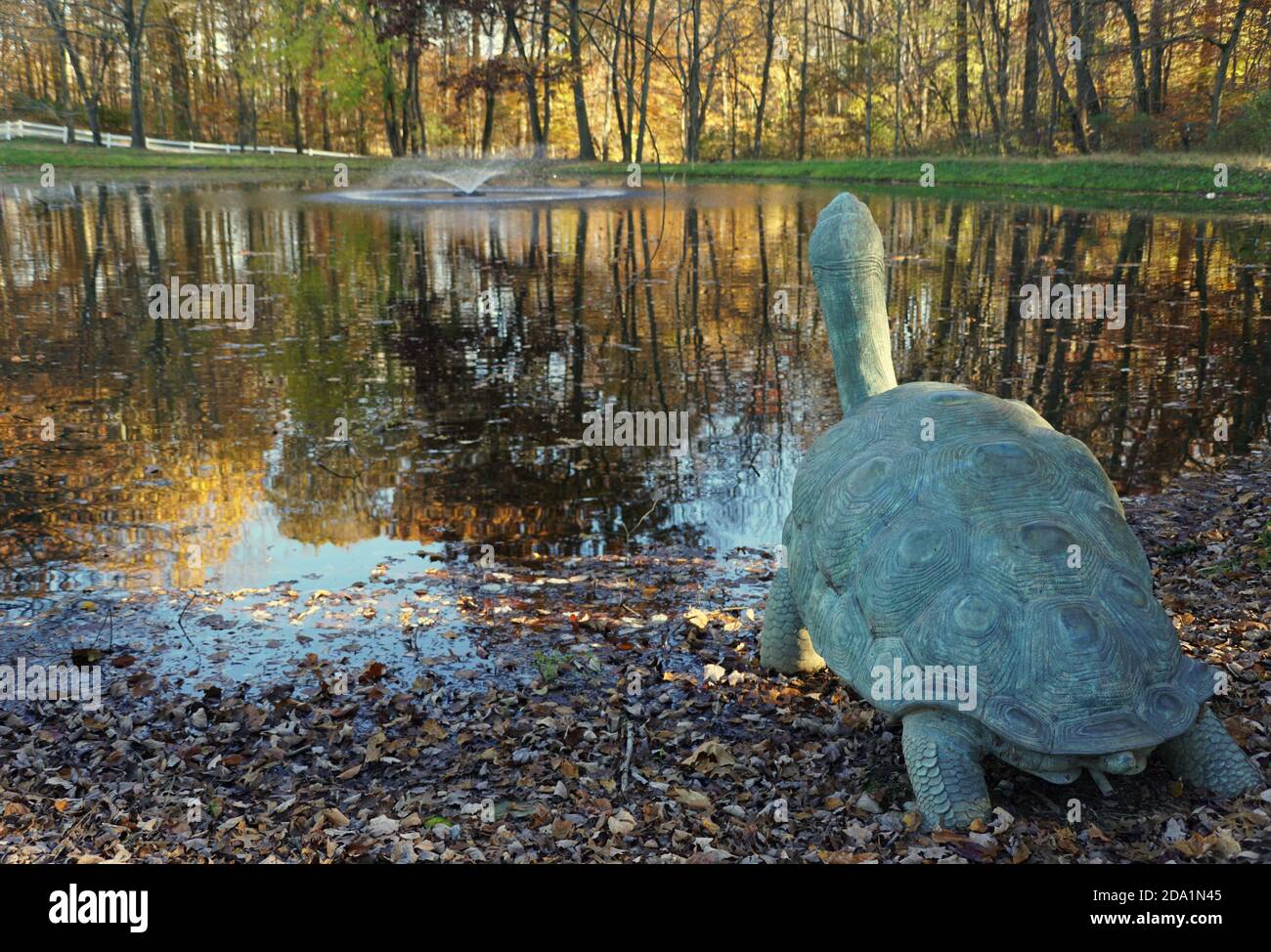 Une grande tortue près d'un étang près de Carousel Park, Pike Creek, Delaware, U.S.A Banque D'Images