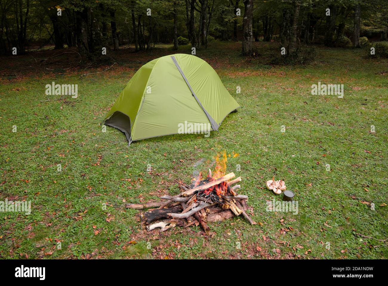 Tente verte, feu de camp, champignons et coupe sur l'herbe du parc Nebrodi, Sicile Banque D'Images