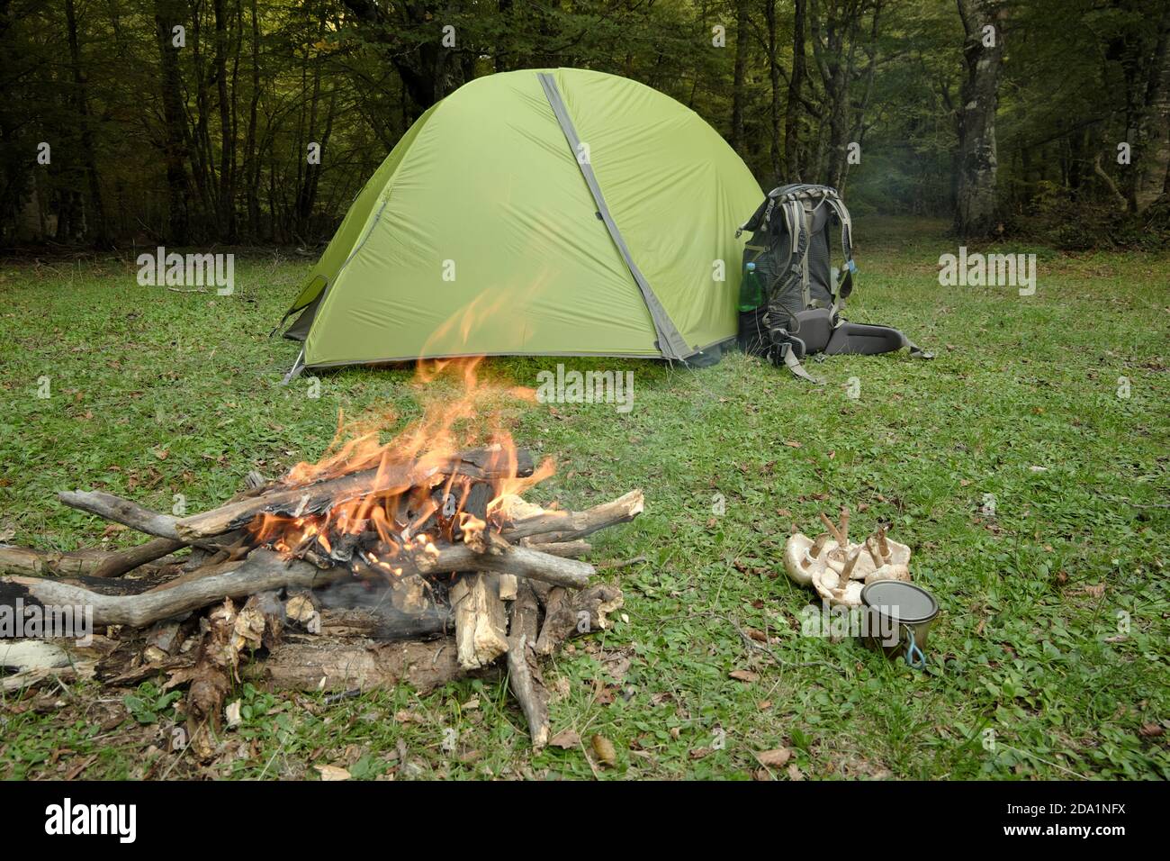 Tente verte, sac à dos, feu de camp, champignons et coupe sur l'herbe du parc Nebrodi, Sicile Banque D'Images
