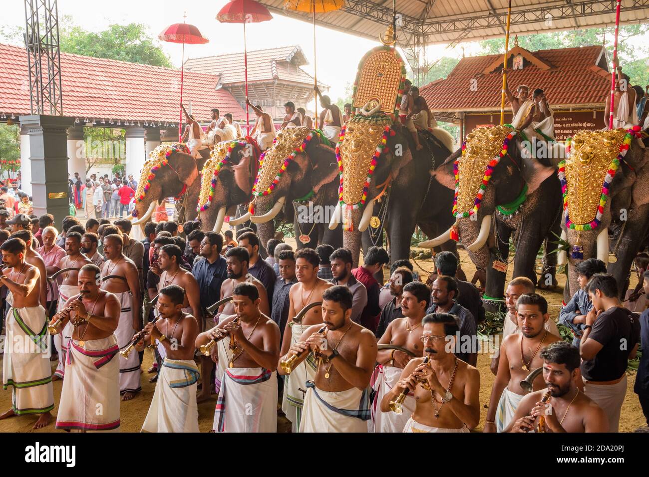 Éléphants décorés au festival du temple à Siva temple, Ernakulam, Kerala, Inde Banque D'Images