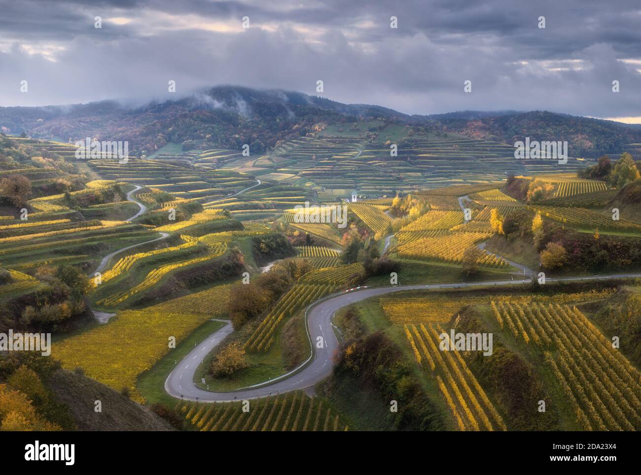 Vignobles à Kaiserstuhl Banque D'Images