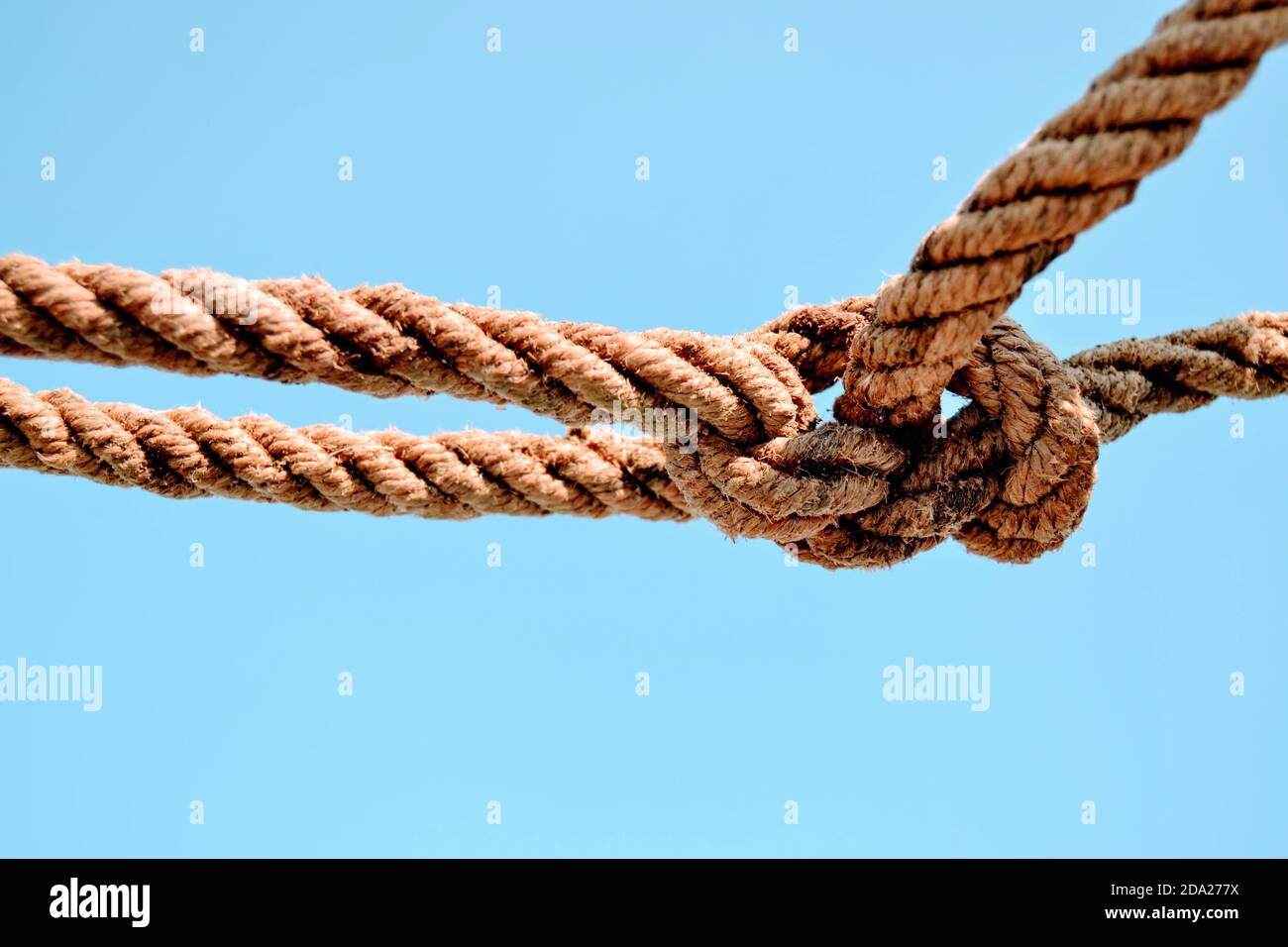 Corde et fond bleu ciel. Une corde est attachée en tant que nœud du marin. Banque D'Images