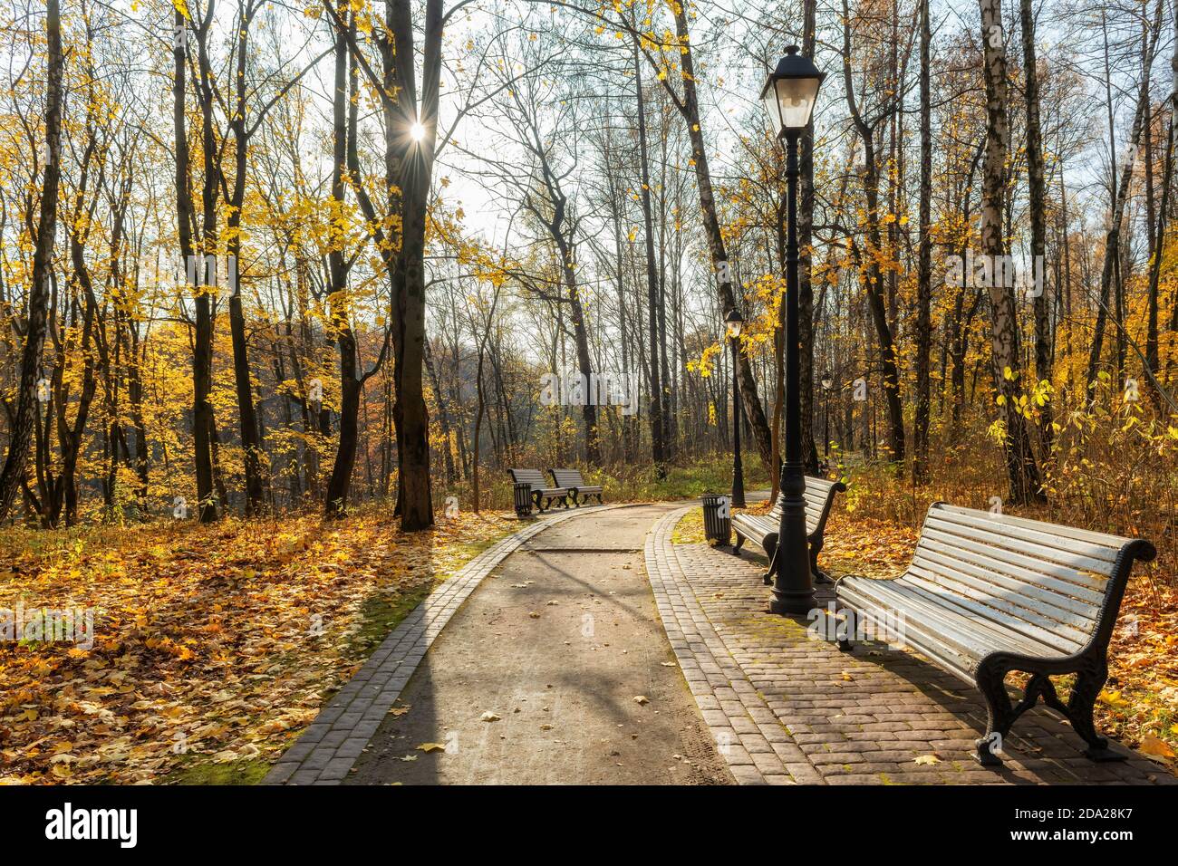 Ruelle romantique d'automne avec des arbres colorés Banque D'Images