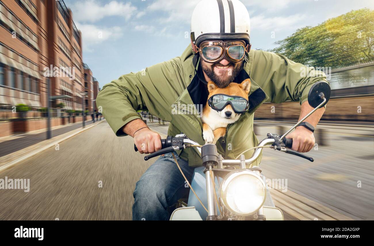 Homme et son chien à moto dans la ville Banque D'Images