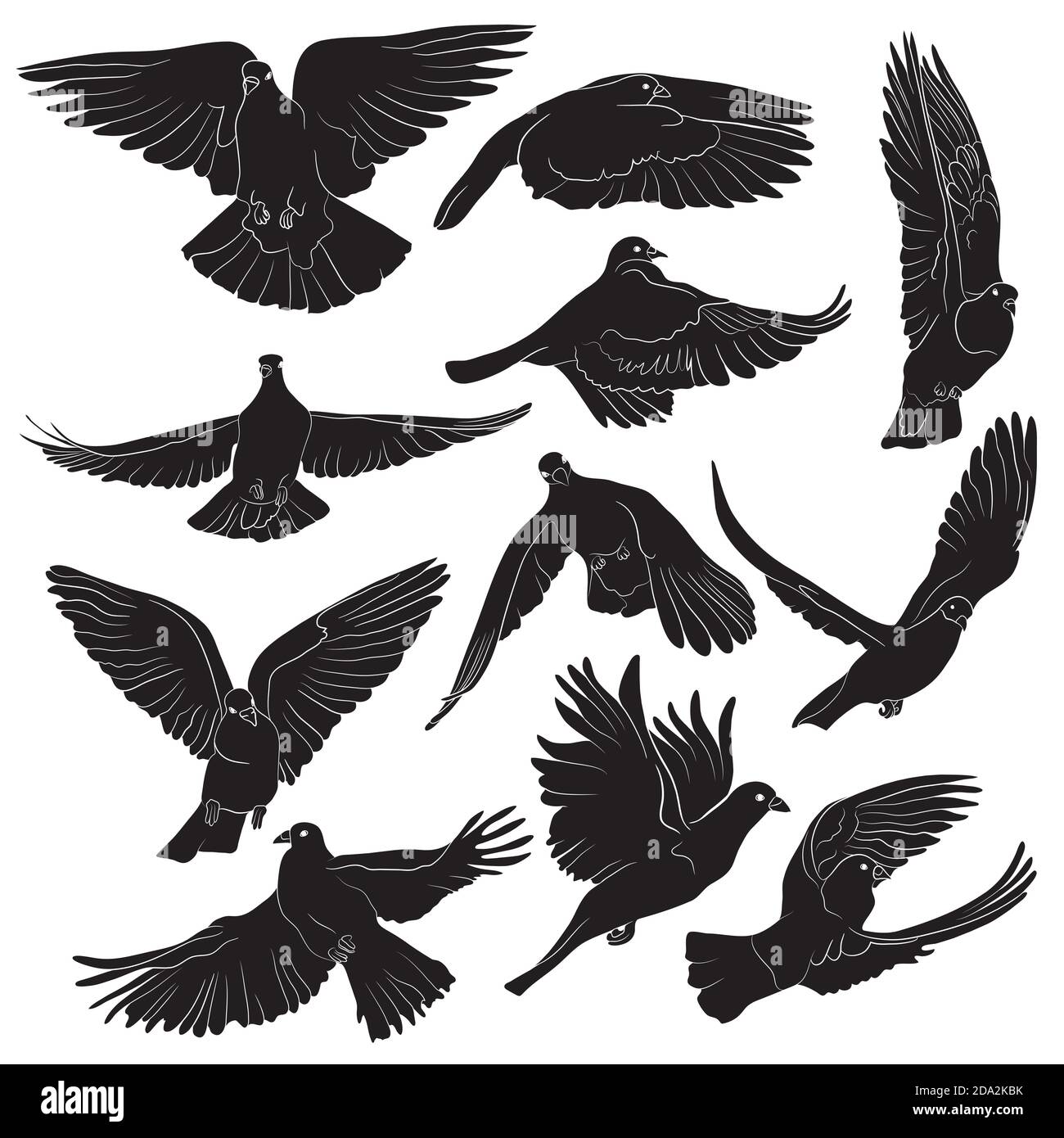 Ensemble de silhouettes isolées d'oiseaux volants. Illustration vectorielle Illustration de Vecteur