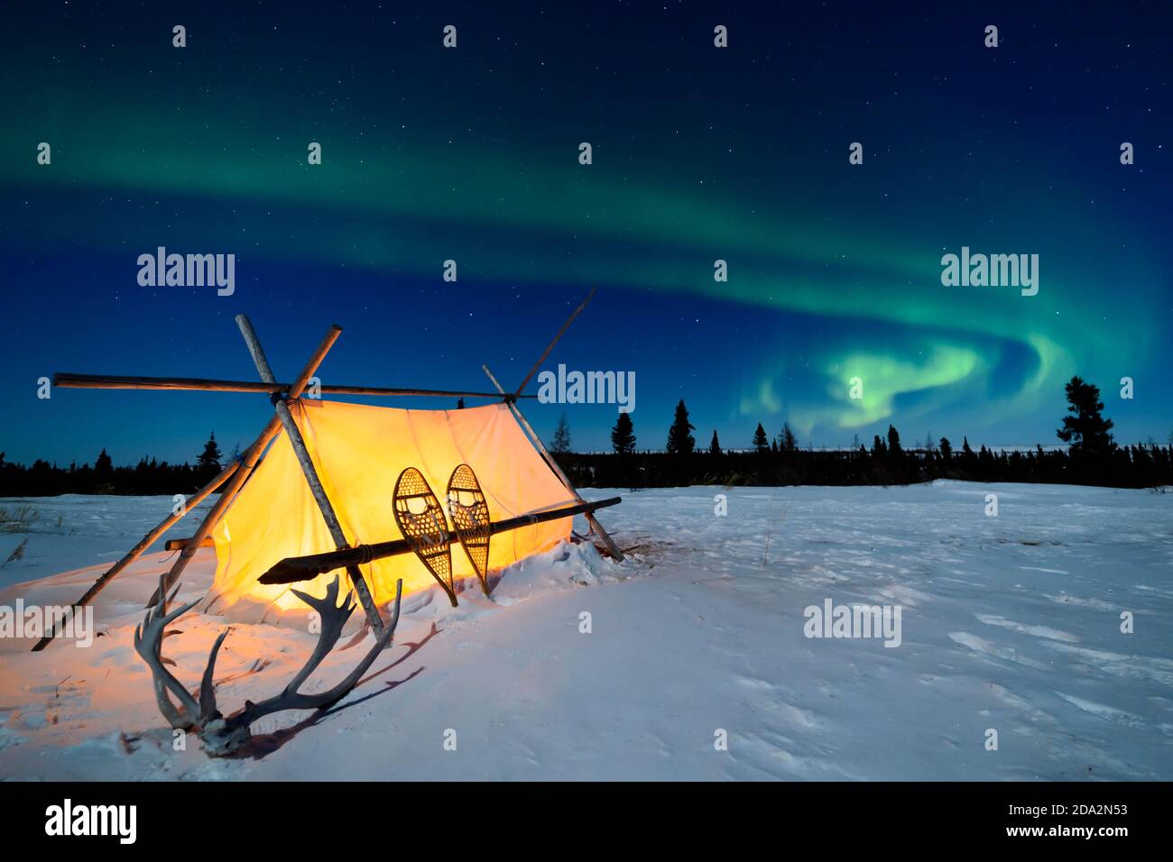 Tente de trappeurs, raquettes et bois sous le ciel nocturne avec Aurora borealis, aurores boréales, parc national Wapusk, Manitoba, Canada Banque D'Images