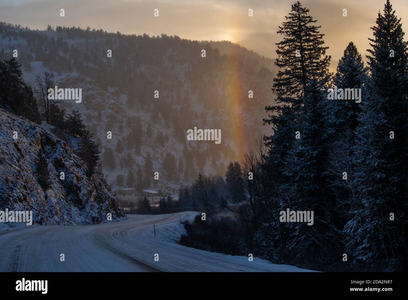 Cette photo a été prise tôt le matin d'avril. Il faisait froid sans saison et le soleil se découplait à travers le Hoarfrost pour produire cet effet arc-en-ciel. Banque D'Images