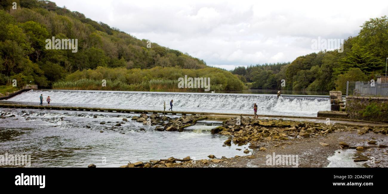 Barrage de Lopwell, un déversoir sur la rivière Tavy, une route d'accès traverse sous le barrage, Devon, Angleterre, Royaume-Uni. Banque D'Images