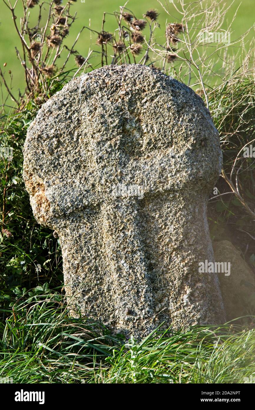 Une ancienne croix de bord de route en granit sculpté, Cornouailles, Angleterre, Royaume-Uni. Banque D'Images