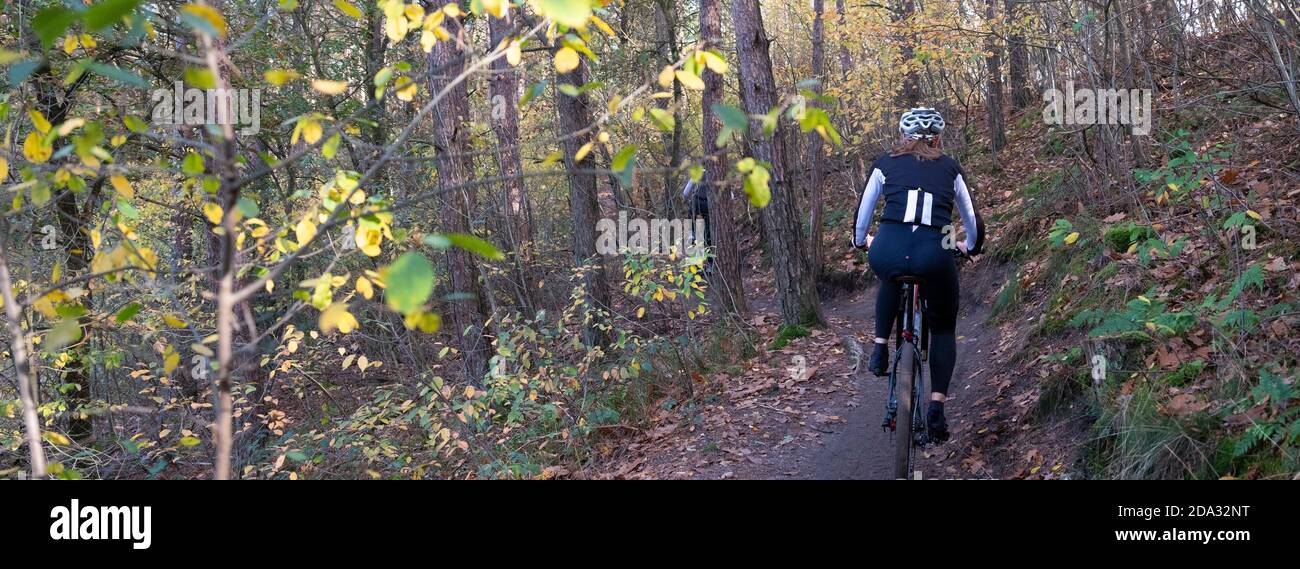 femme en vtt sur la piste dans la forêt d'automne près de zeist aux pays-bas Banque D'Images