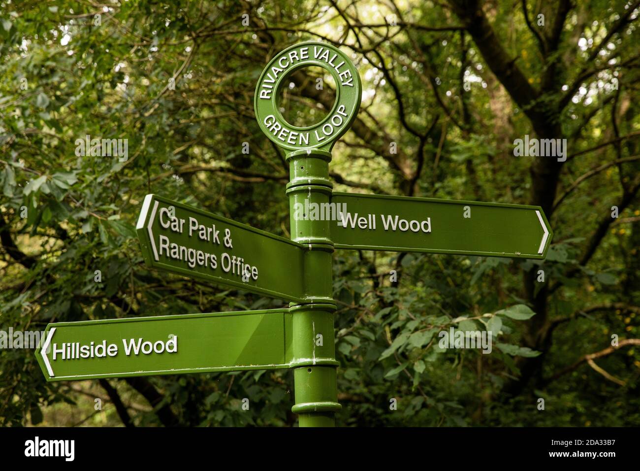 Royaume-Uni, Angleterre, Cheshire, Port d'Ellesmere, Rivacre Valley Country Park, panneau Green Loop à Clayhill Wood Banque D'Images