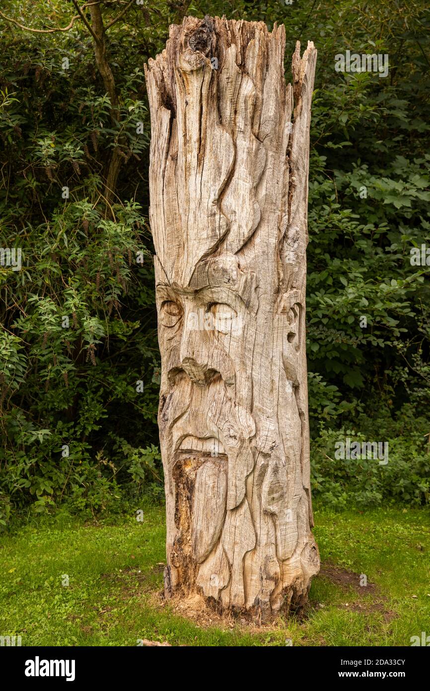 Royaume-Uni, Angleterre, Cheshire, port d'Ellesmere, parc national de Rivacre Valley, sculpture sur tronçonneuse à souches d'arbres Banque D'Images