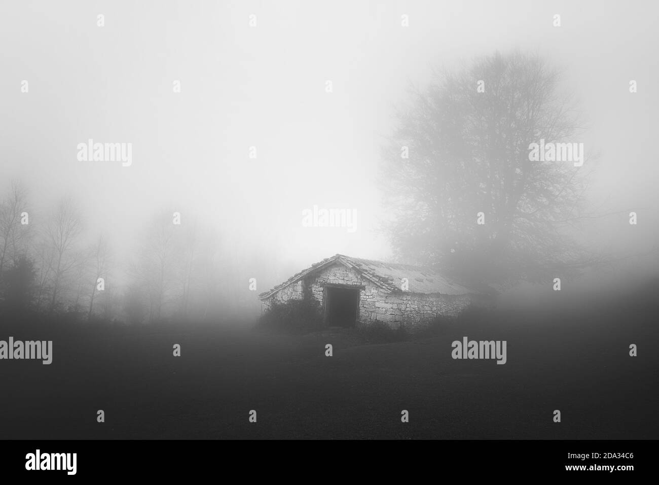 hangar rural avec brouillard en noir et blanc Banque D'Images