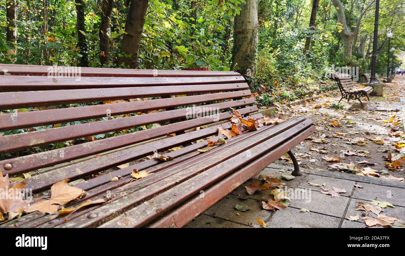 Feuilles d'automne sur des bancs en bois dans les jardins de Campo Grande De Valladolid Banque D'Images