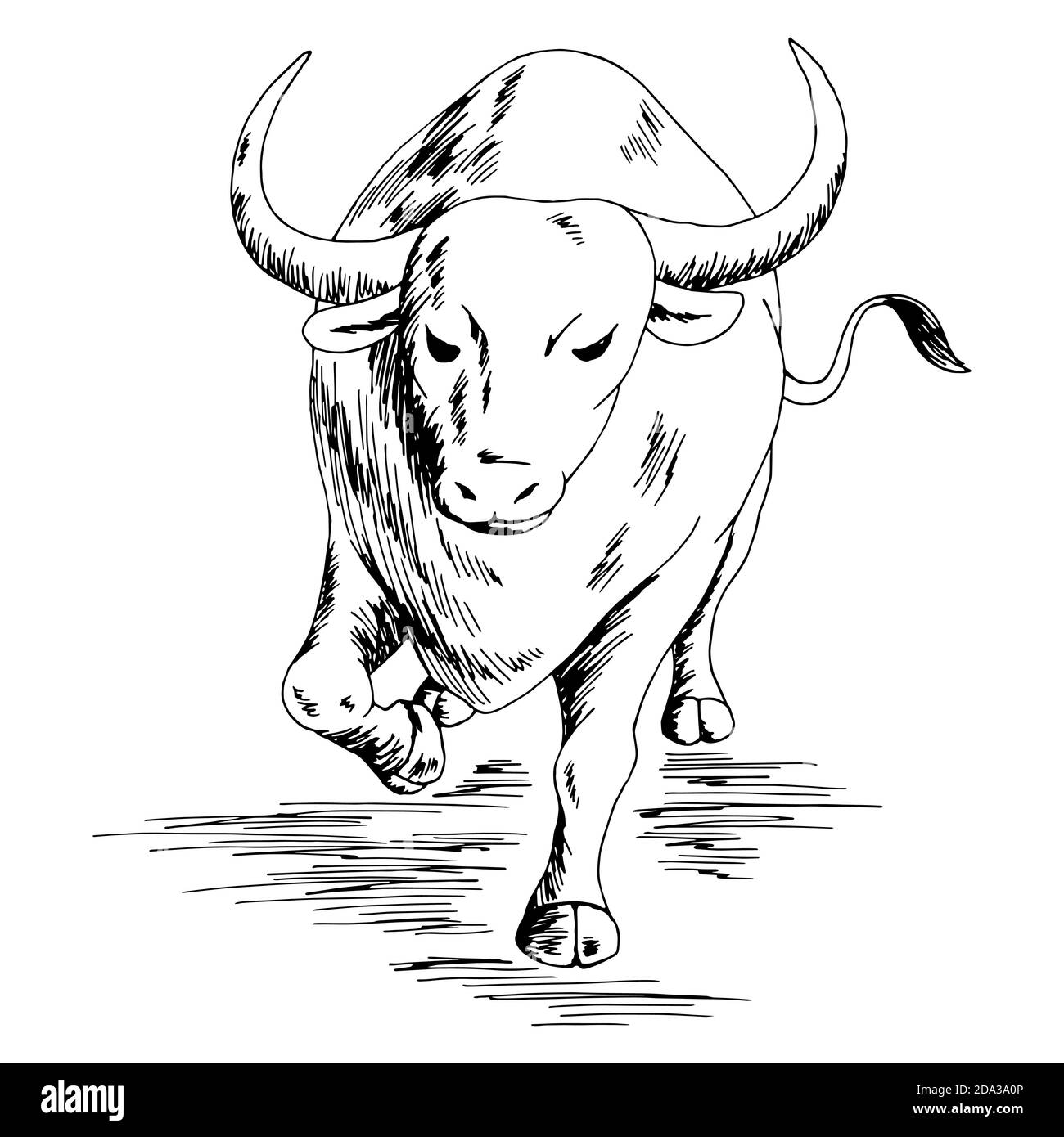 Bull Angry Running graphique noir blanc isolé esquisse illustration vecteur Illustration de Vecteur