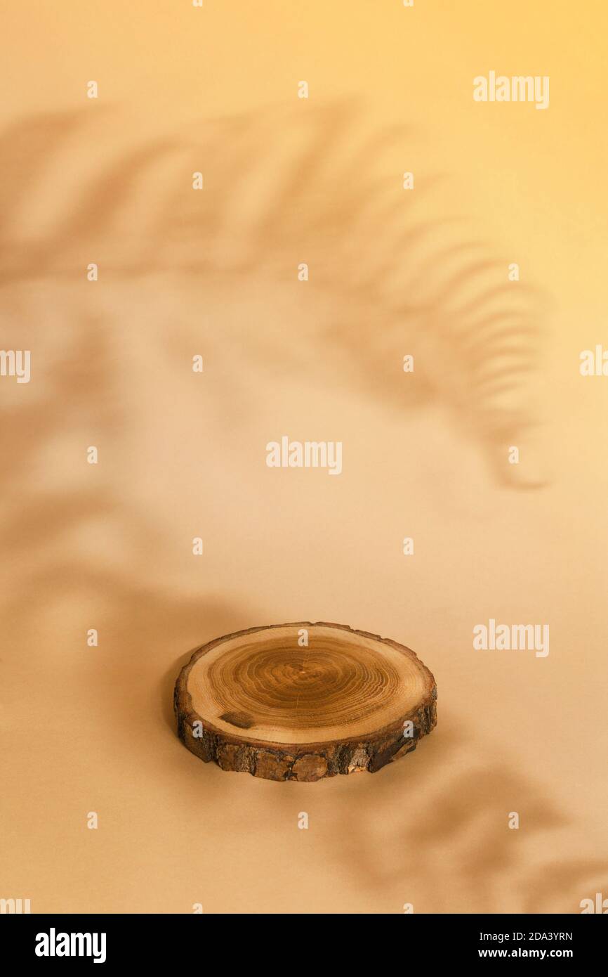 Forme cylindrique ronde en bois découpé avec feuilles de fougères ombrées sur fond beige. Podium géométrique. Vitrine vide pour la présentation de cosmétiques écologiques. Banque D'Images