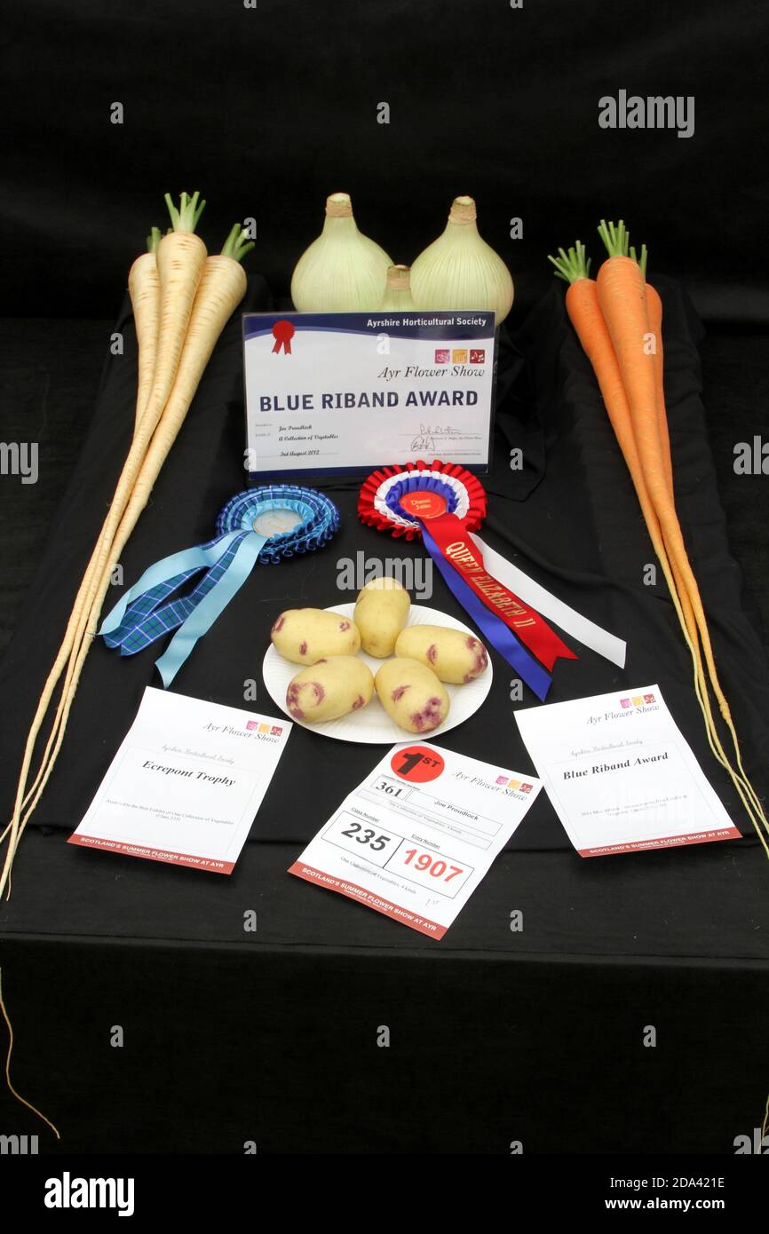 Ayr Flower Show, Ayrshire, Écosse.Des légumes gagnants avec des certificats ad rosettes Banque D'Images