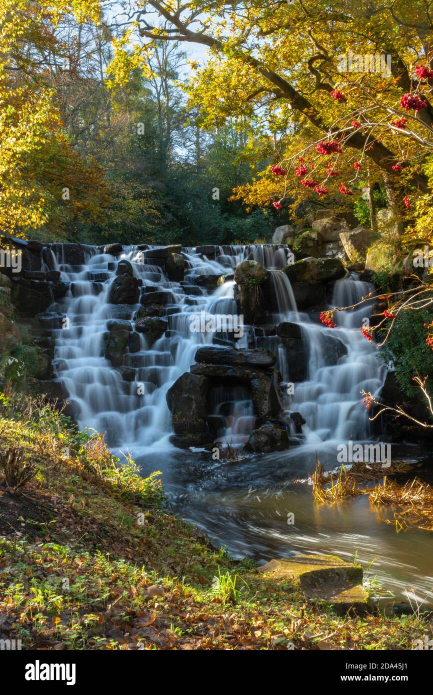 La cascade ornementale ou la chute d'eau au lac Virginia Water dans le grand parc de Windsor pendant l'automne, Angleterre, Royaume-Uni Banque D'Images