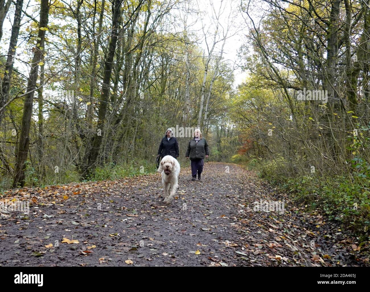 Deux femmes marchent un chien le long de la Sett Valley Trail à New Mills, Derbyshire. Le sentier se termine à Hayfield. Banque D'Images