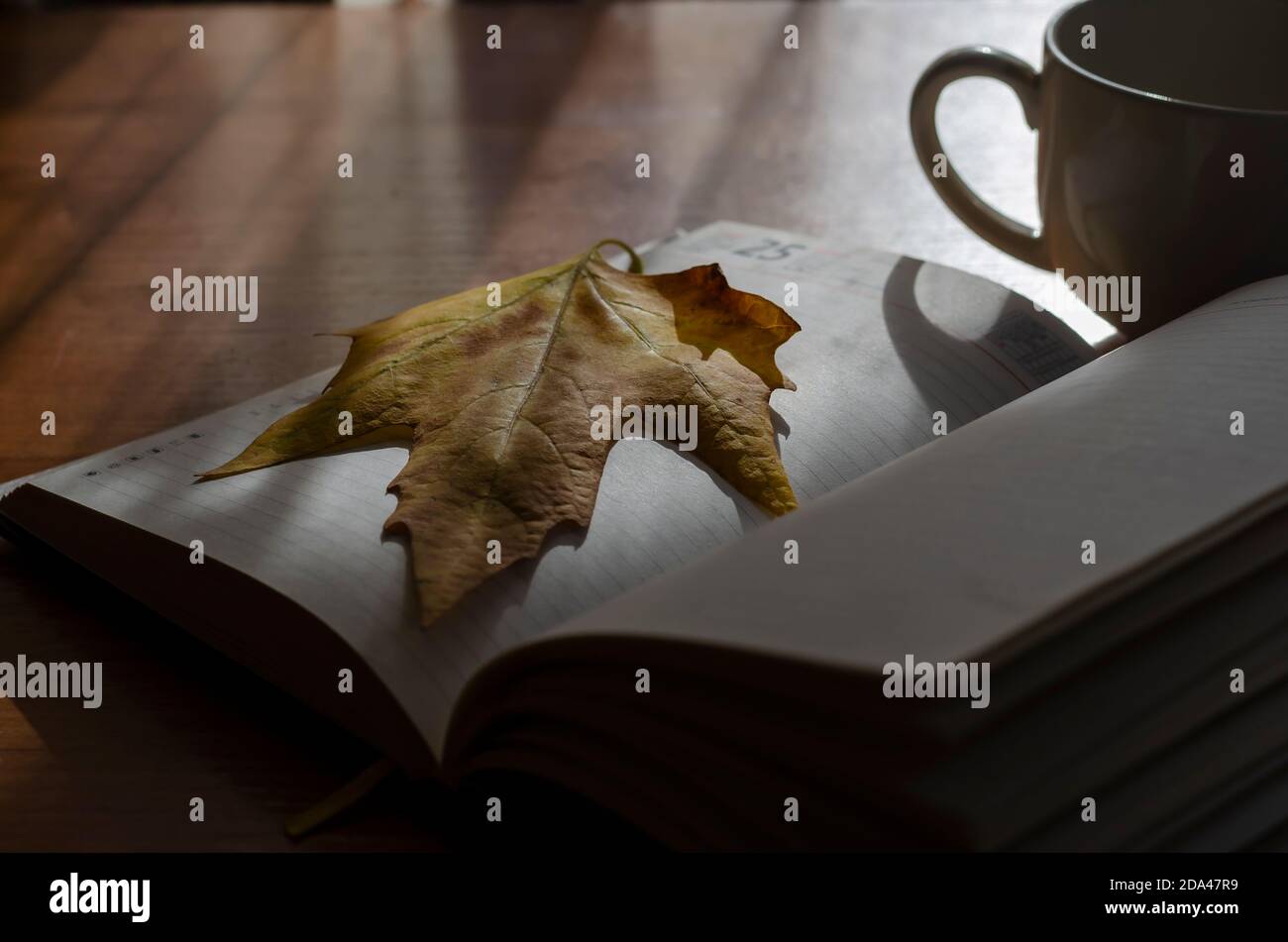 Journal, feuille tombée et tasse sur la table. Ouvrez le bloc-notes avec des feuilles vierges. Mise au point sélective. Banque D'Images