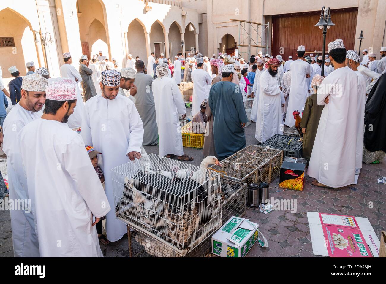 Nizwa, Oman, 2 décembre 2016 : une foule locale au marché aux oiseaux de Nizwa, Oman - une partie du marché hebdomadaire du vendredi Banque D'Images