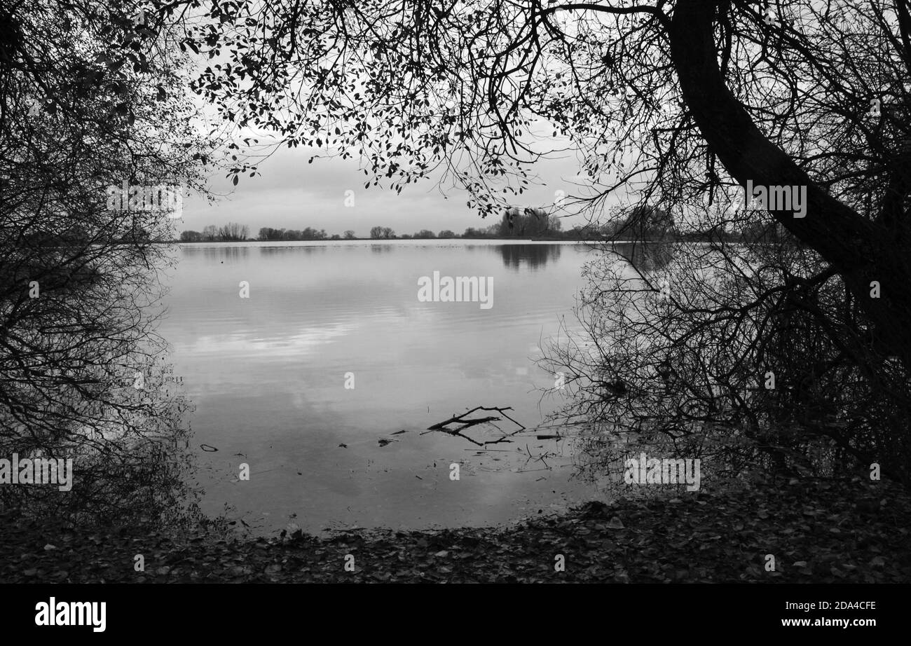 Journée tranquille au réservoir de Tring, en noir et blanc. Calme et tranquillité sur l'eau. ROYAUME-UNI Banque D'Images