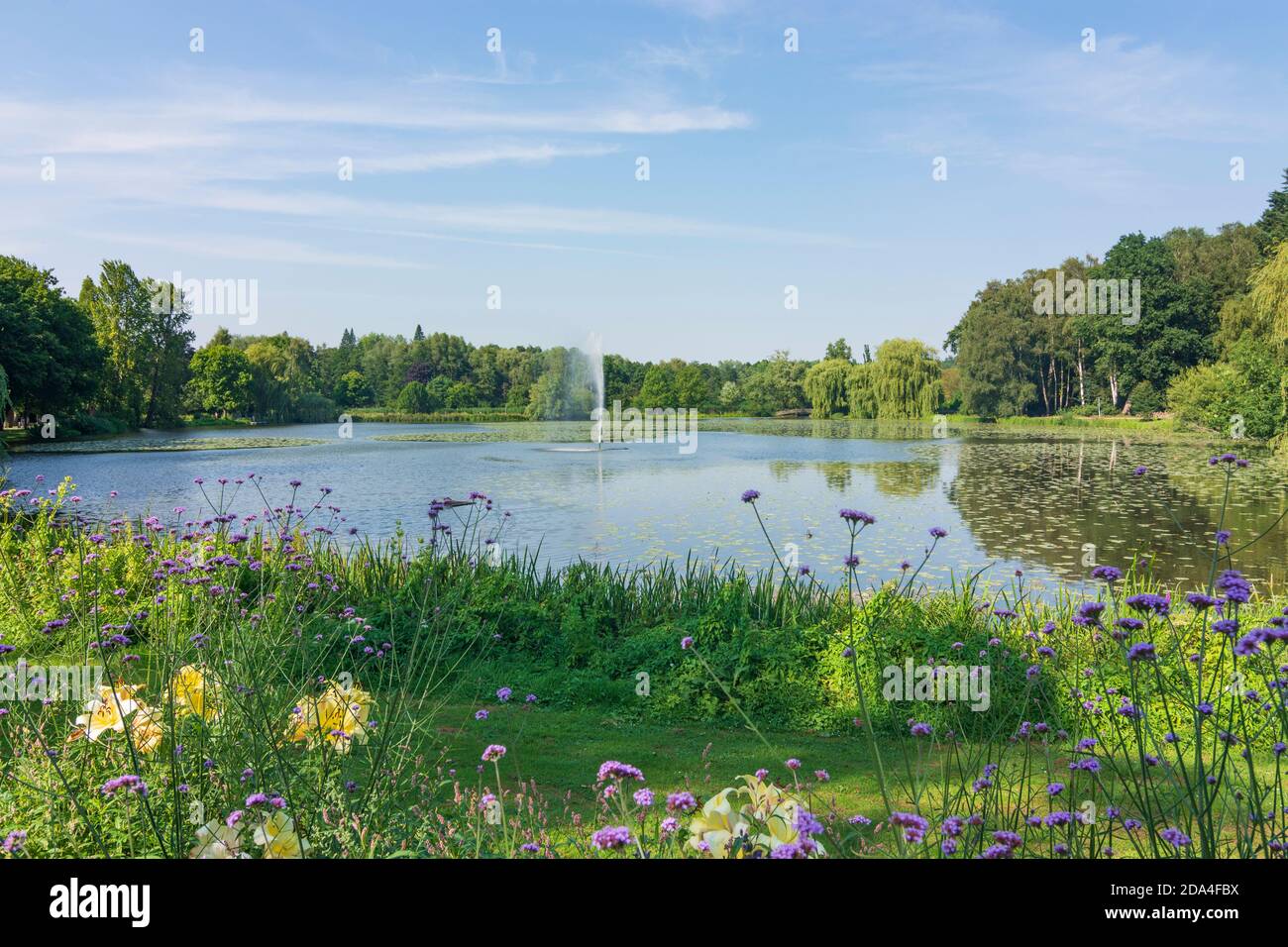 Bad Schwartau: parc Kurpark, étang, Ostsee (mer Baltique), Schleswig-Holstein, Allemagne Banque D'Images