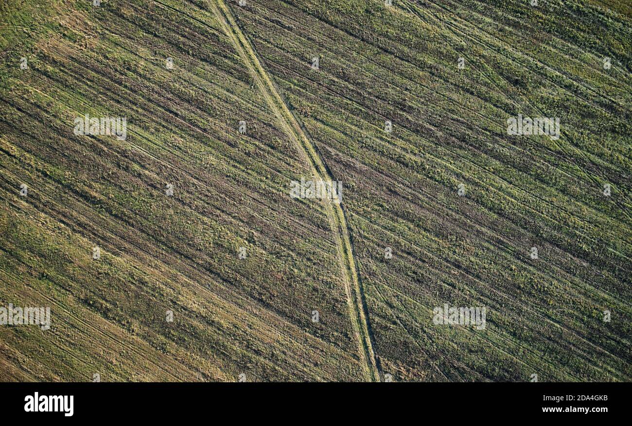 Chemin rural sur le champ vert au-dessus de la vue de dessus de drone Banque D'Images