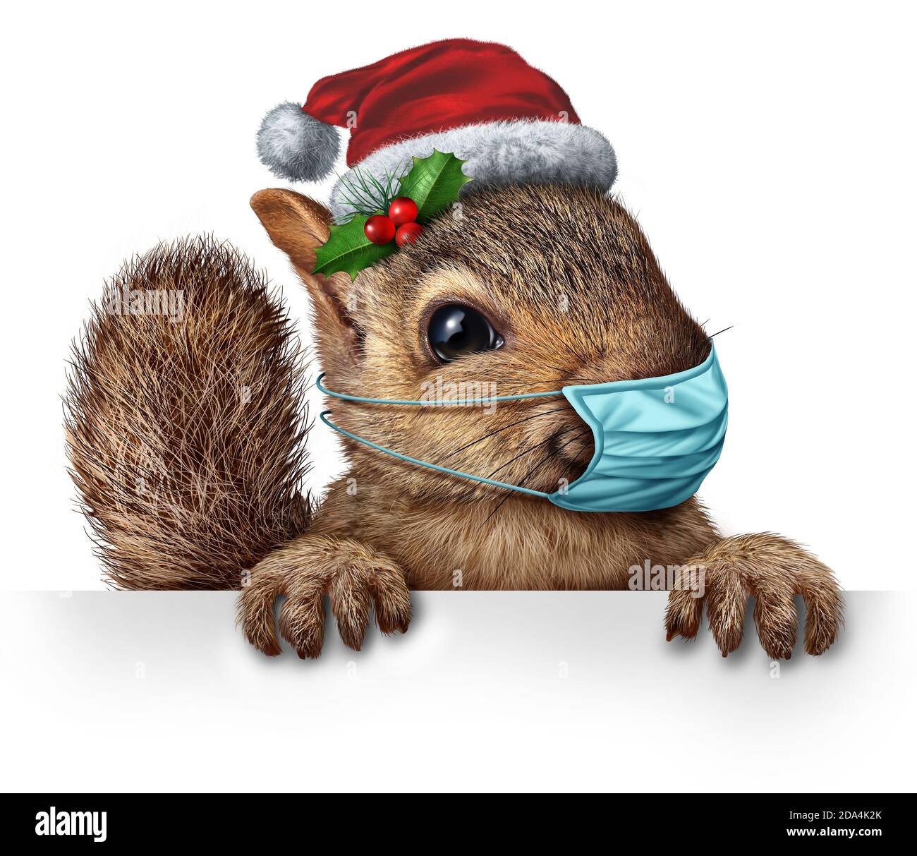 Un écureuil de vacances sain portant un masque facial comme un personnage de rongeur de fourrure sympathique sur un panneau d'affichage pour la prévention des maladies comme un Noël nouvelle année. Banque D'Images