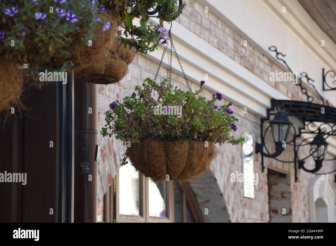 Un panier de fleurs rose et rouge vif est suspendu à la fenêtre d'une maison dans un ancien bâtiment en France, entouré de magnifiques motifs dans la pierre Banque D'Images