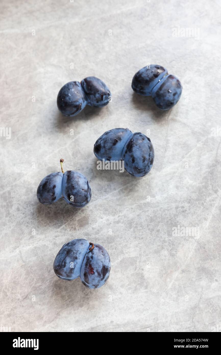 bleu biologique laid prunes double coeur en forme de coeur sur un fond gris Banque D'Images