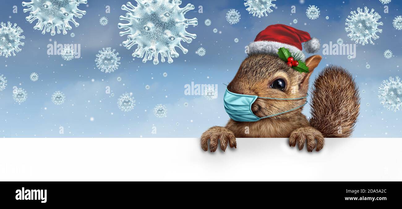 Écureuil de vacances en bonne santé portant un masque facial comme un personnage de fourrure sympathique saisissant un panneau d'affichage pour la prévention des maladies comme un Noël nouvelle année. Banque D'Images