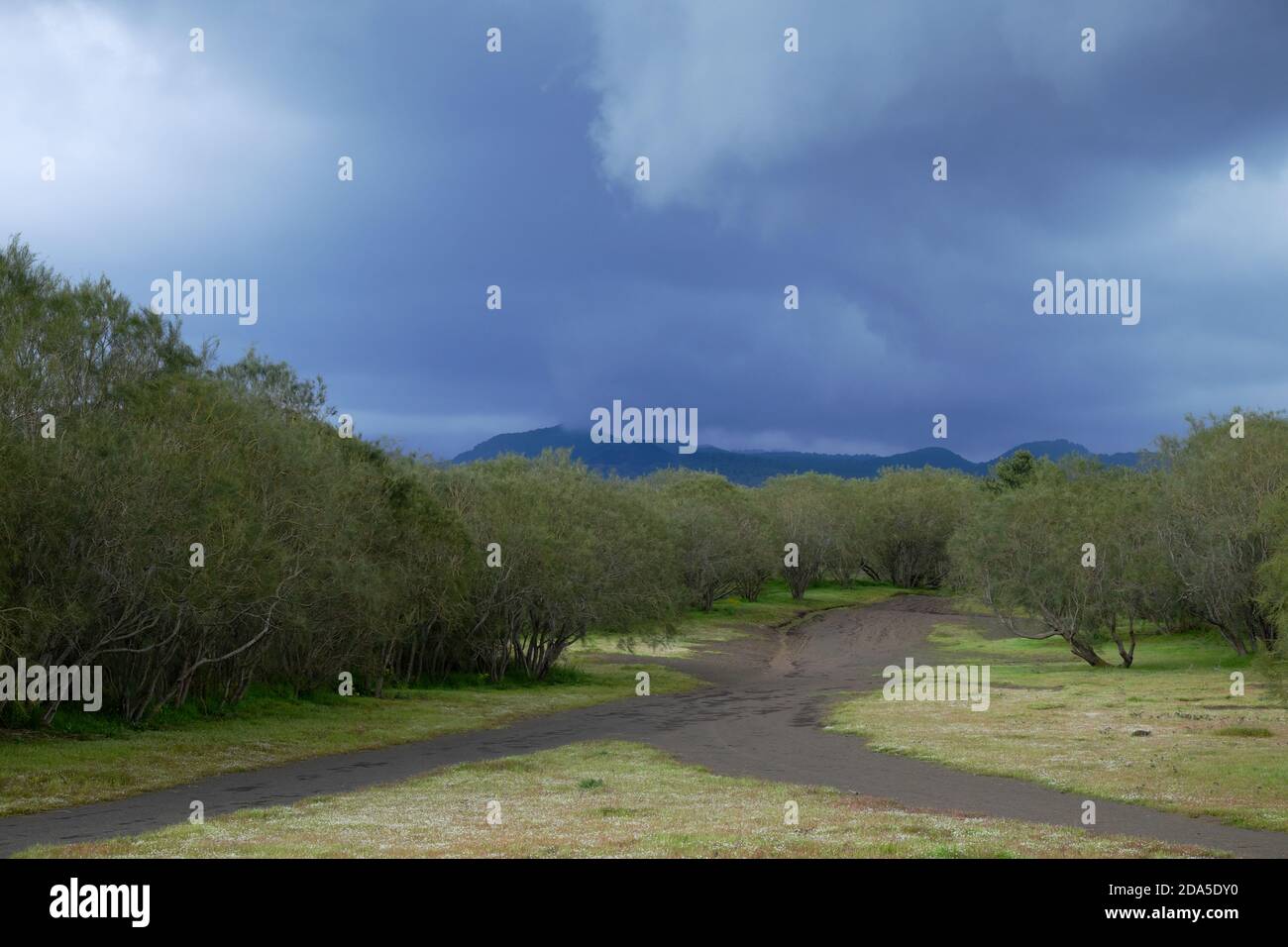 Nuages de pluie sur la bifurcation de route de terre dans le parc Etna, Sicile Banque D'Images
