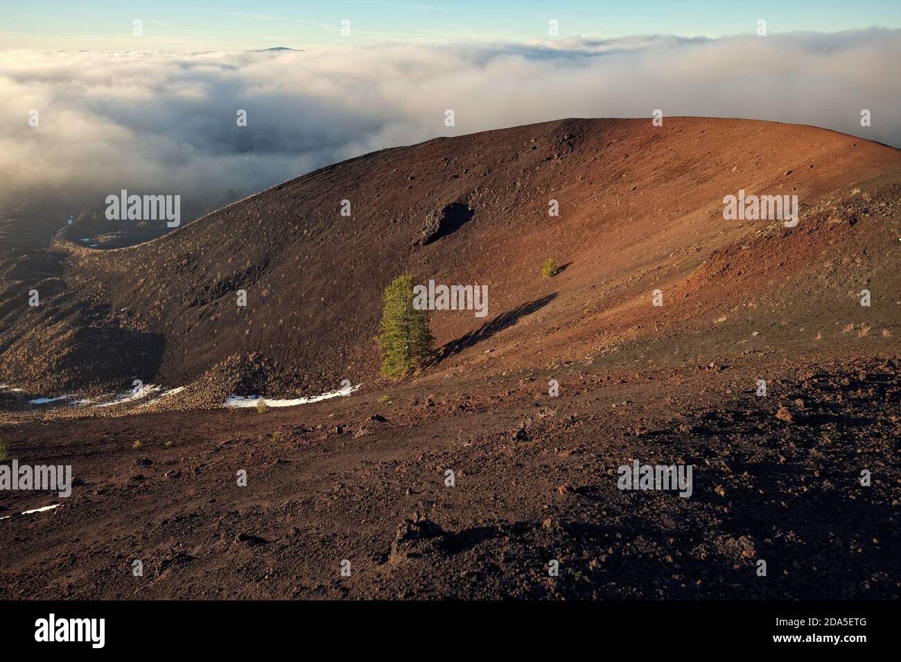 Cratère volcanique avec pin solitaire et nuages bas dans le parc Etna, Sicile Banque D'Images