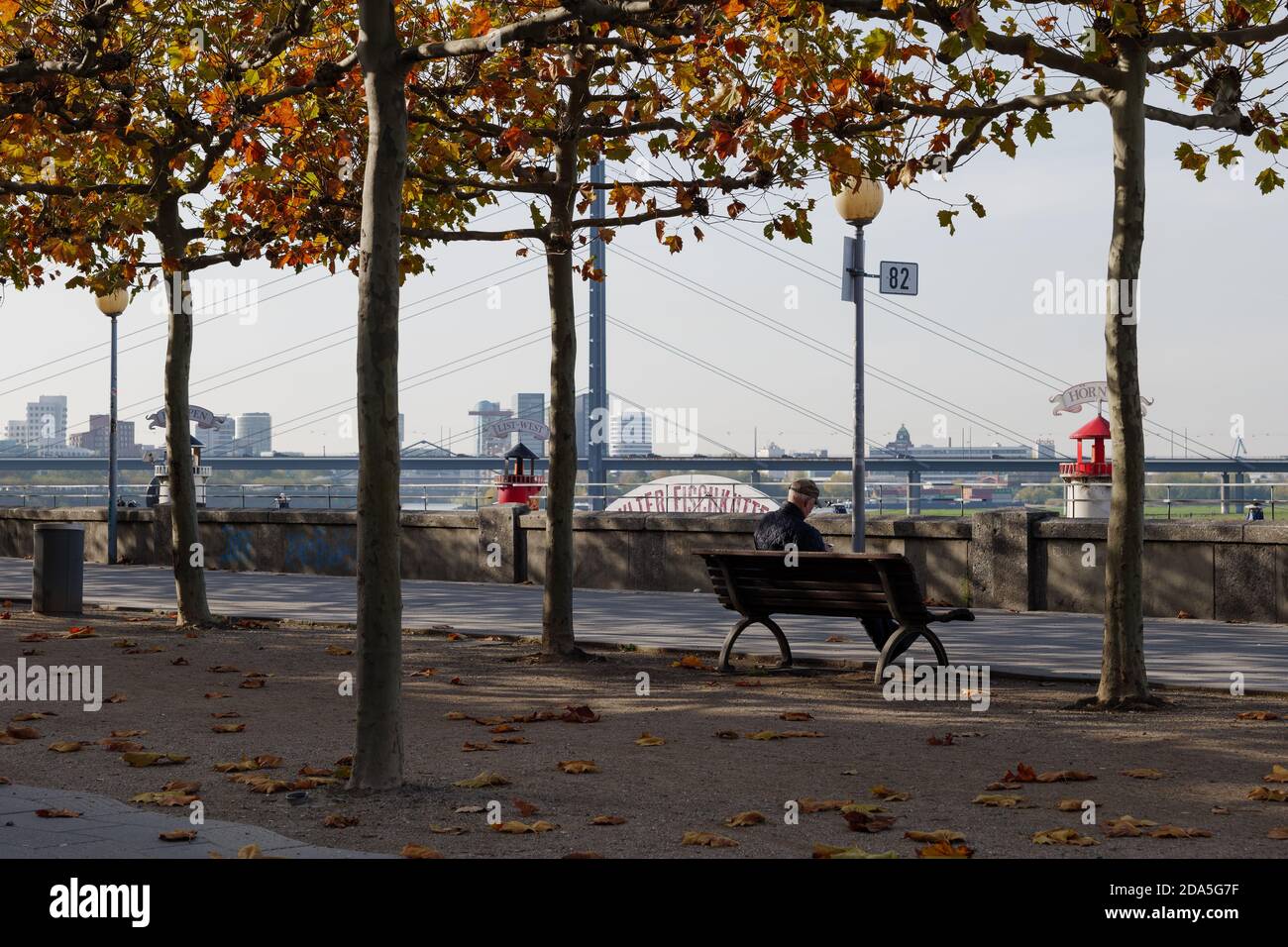 Vue ensoleillée en plein air, l'homme aîné s'assoit seul sur le banc à Rheinuferpromenade le long du bord du Rhin à Düsseldorf, en Allemagne, en automne. Banque D'Images