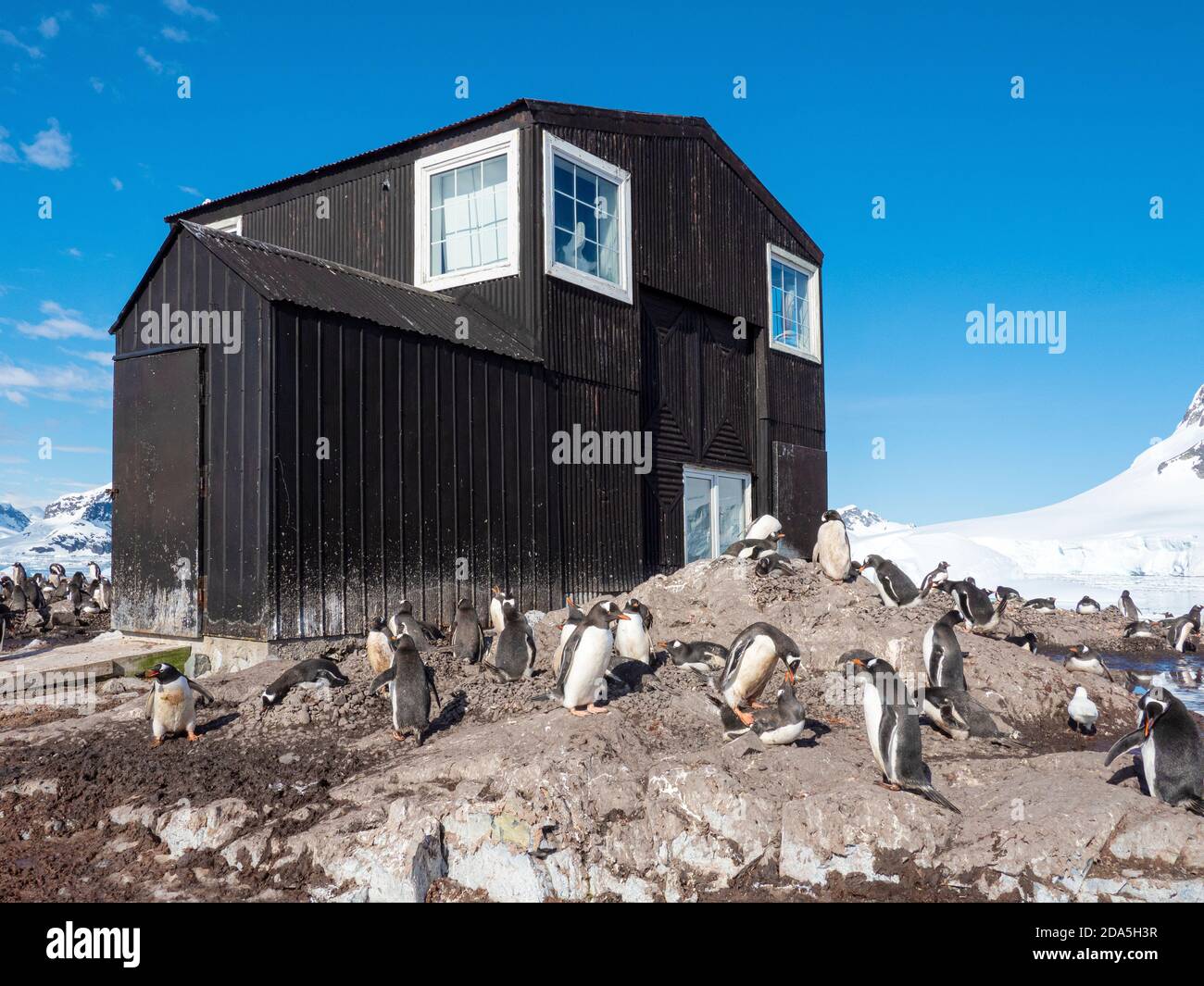 González Videla base, une station de recherche chilienne à Paradise Bay, Antarctique. Banque D'Images