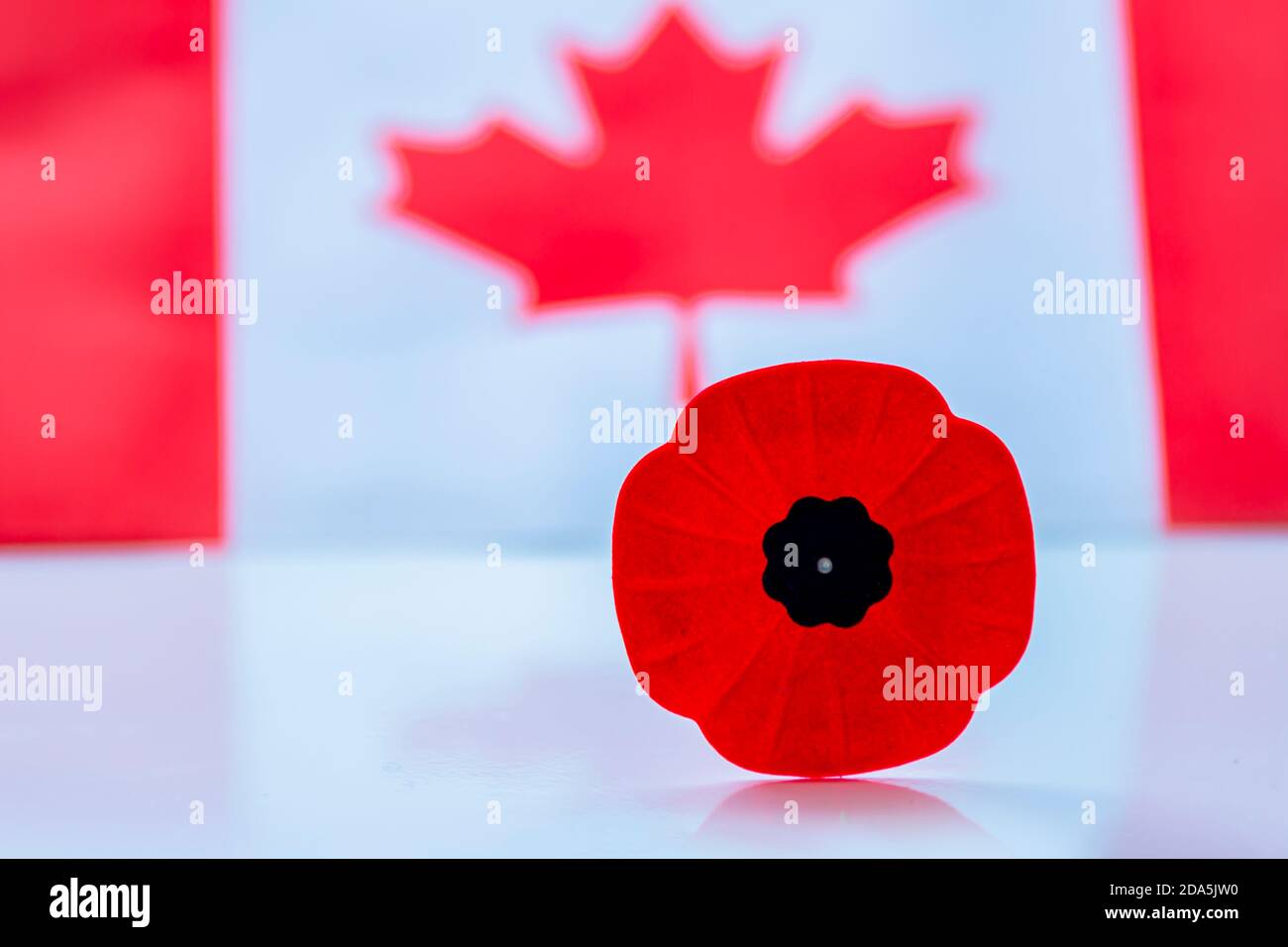 Une fleur de pavot du jour du souvenir avec un drapeau canadien à l'arrière-plan. Banque D'Images