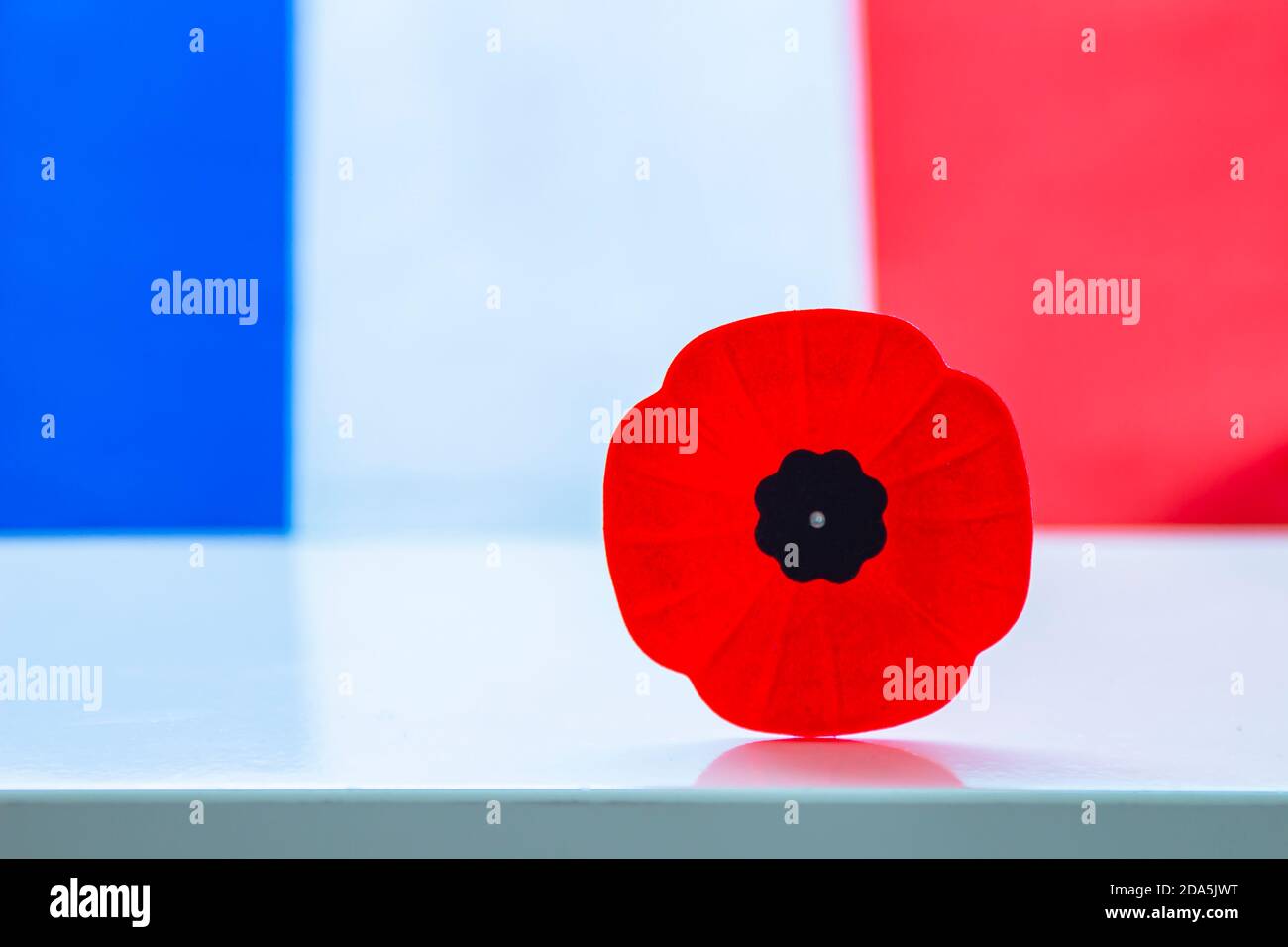 Une fleur de pavot du jour du souvenir avec un drapeau français sur le fond. Banque D'Images