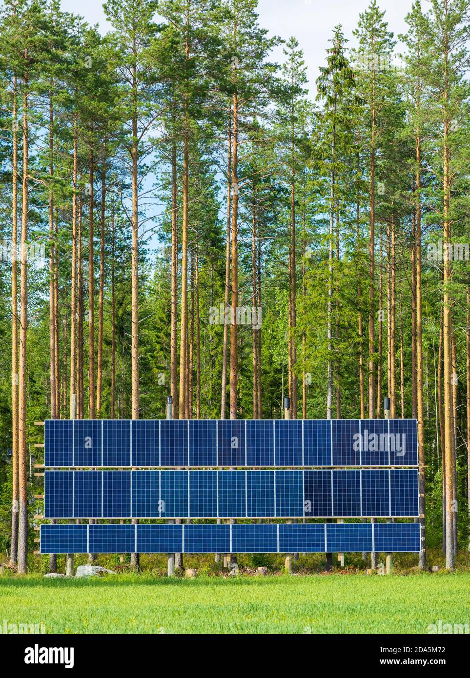 Panneaux solaires au bord de la forêt à Summer , Finlande Banque D'Images