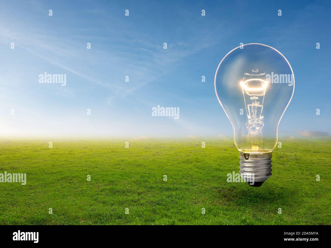 L'ampoule pousse dans l'herbe contre le ciel bleu. Conservation des forêts et concept écologique. Banque D'Images